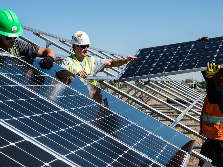 How Do Solar Panels Work? A Step by Step Guide