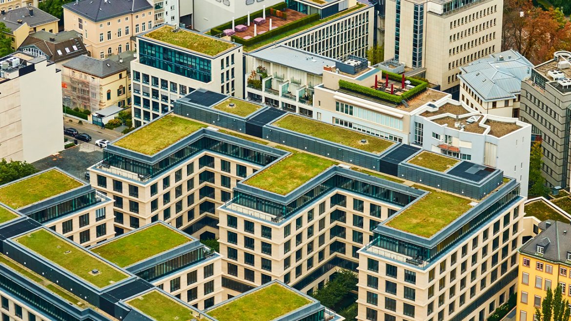 Going Green with a Living Roof [2021 Trend]