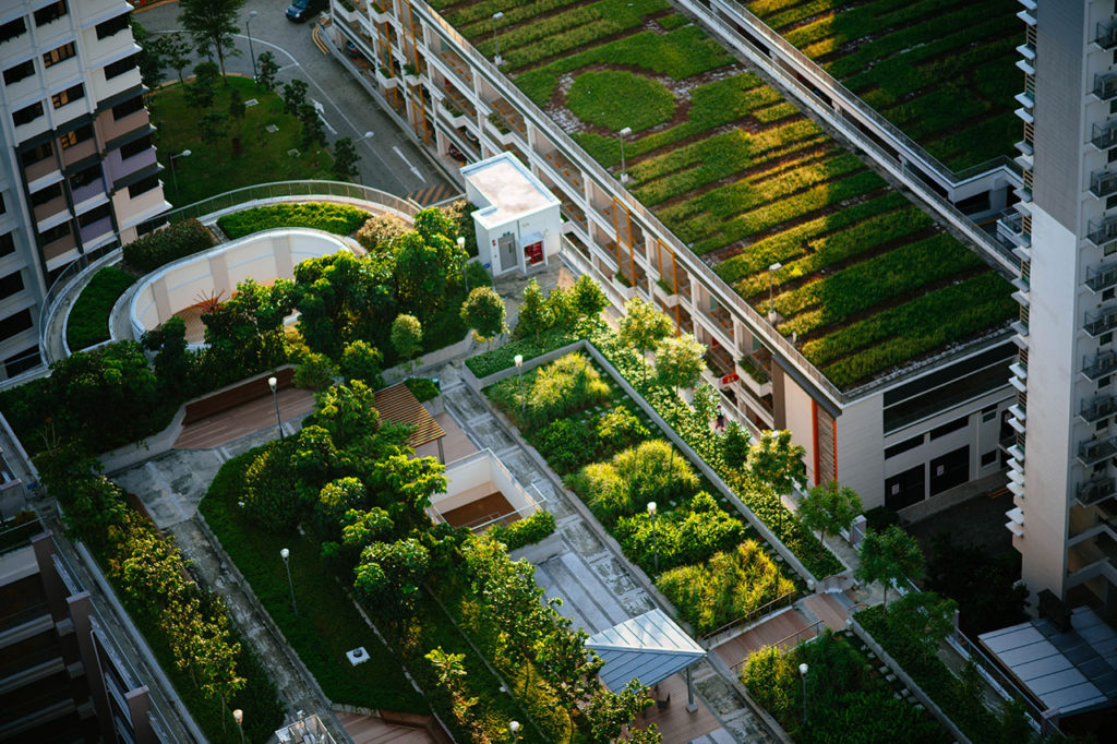 5 Green Roof Benefits & Trends